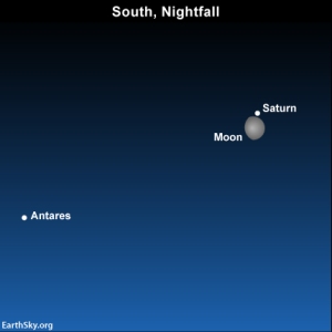 Saturn looks like a star by the moon; notice3d two nights in a row